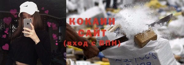 стаф Кулебаки