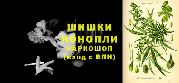 спиды Кукмор