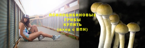 круглые Краснослободск
