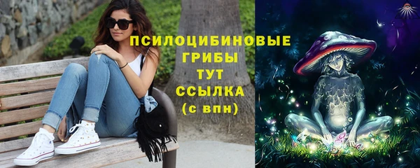 дживик Краснотурьинск