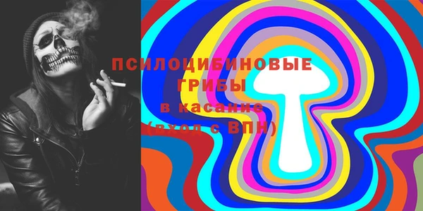 стаф Кулебаки