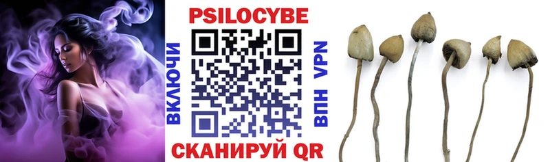 Купить закладки  Бахчисарай  Псилоцибиновые грибы GOLDEN TEACHER 